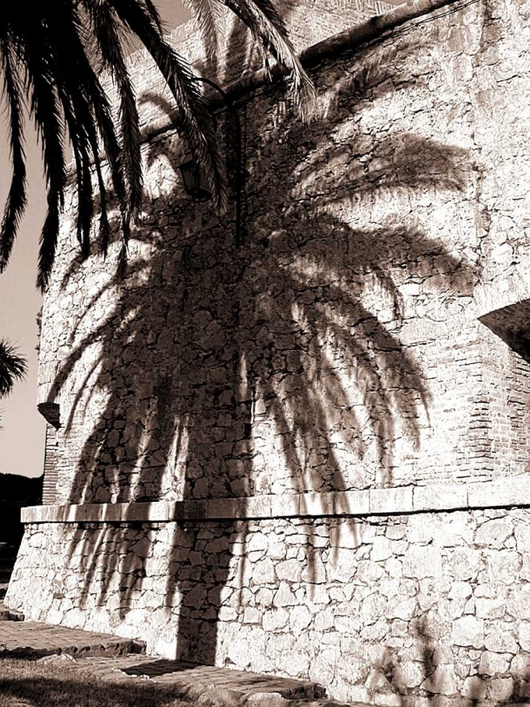 Palm Shadow, Antibes art print by Cyril Blue for $57.95 CAD