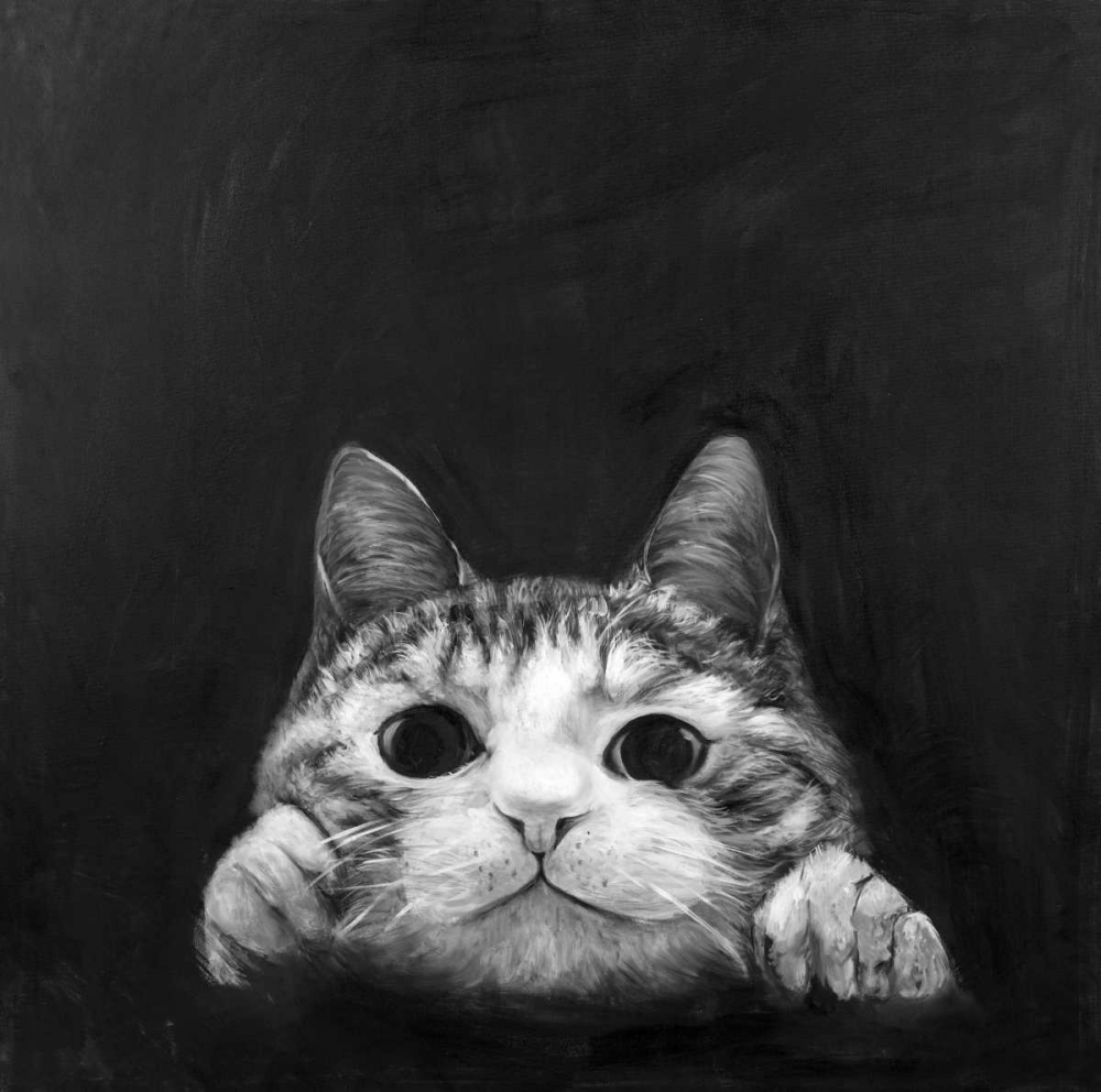 Curious Cat art print by Atelier B Art Studio for $57.95 CAD