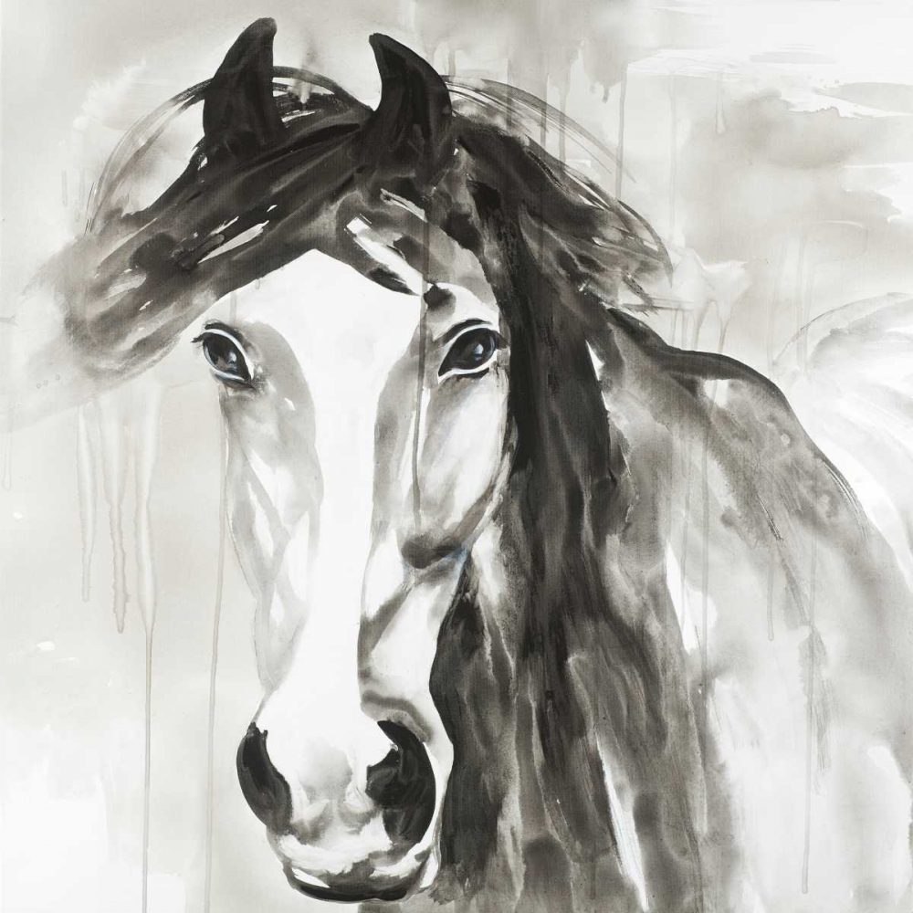 Beautiful Wild Horse art print by Atelier B Art Studio for $57.95 CAD