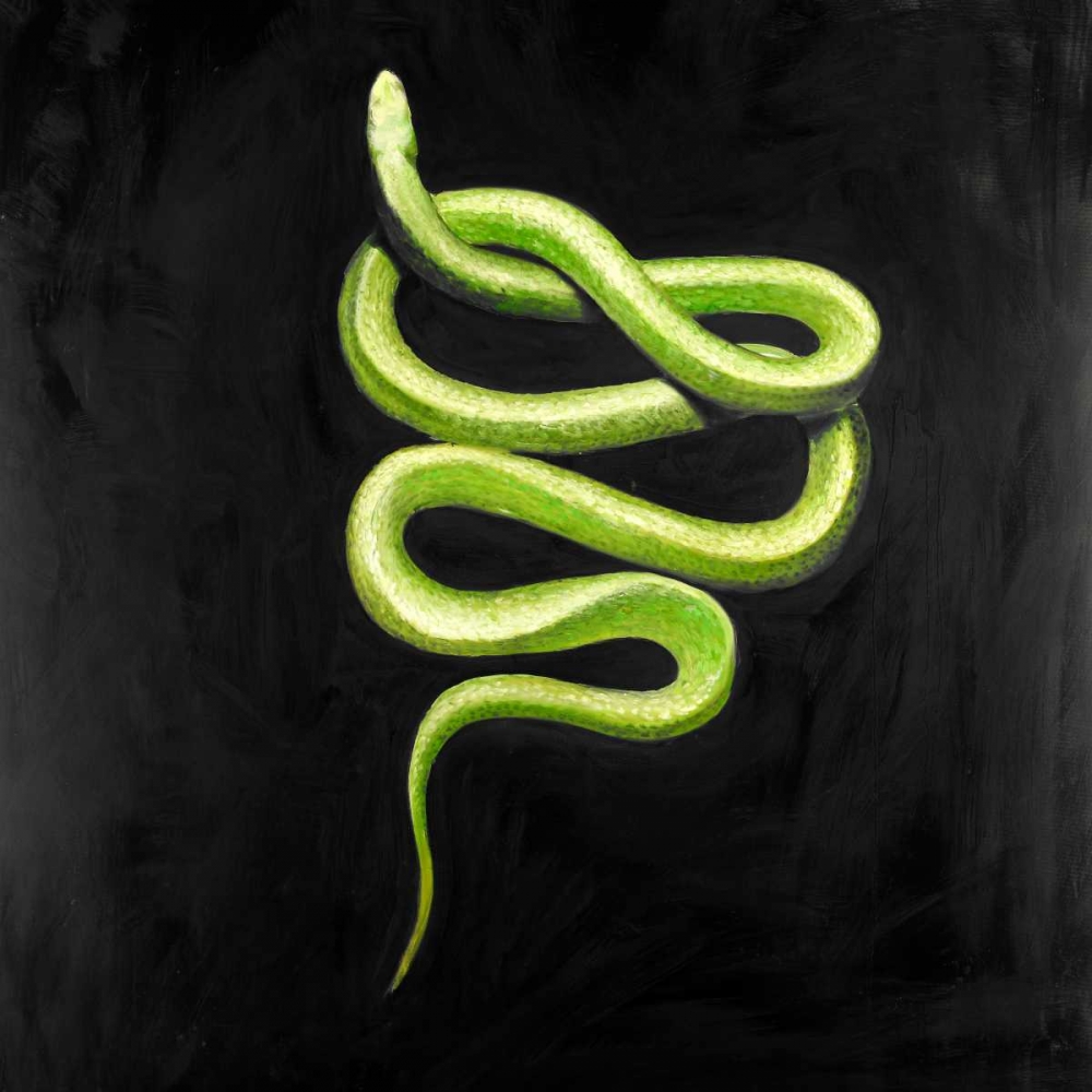 Green Snake art print by Atelier B Art Studio for $57.95 CAD