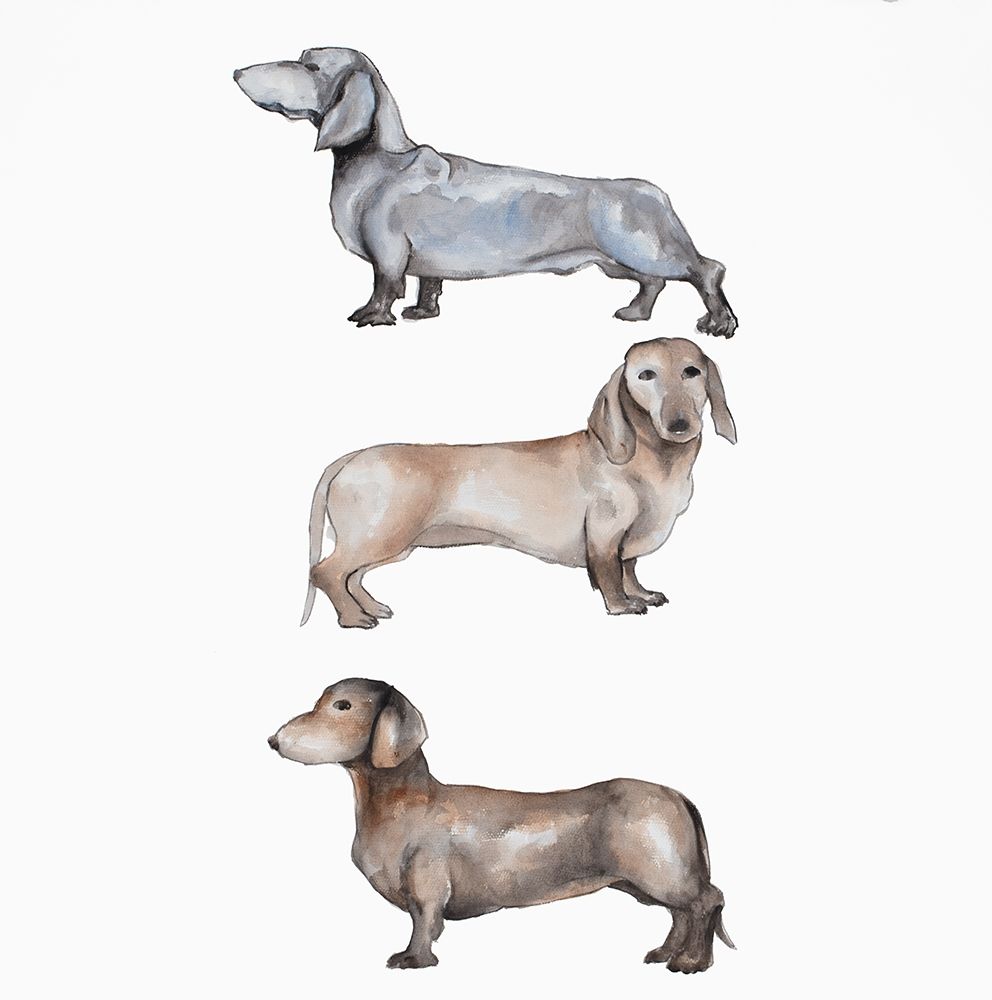 Three Daschund Dogs art print by Atelier B Art Studio for $57.95 CAD