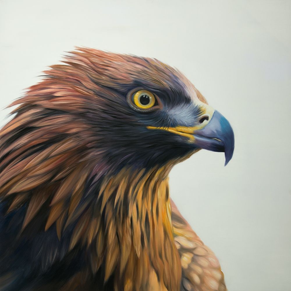 BROWN-HEADED EAGLE art print by Atelier B Art Studio for $57.95 CAD