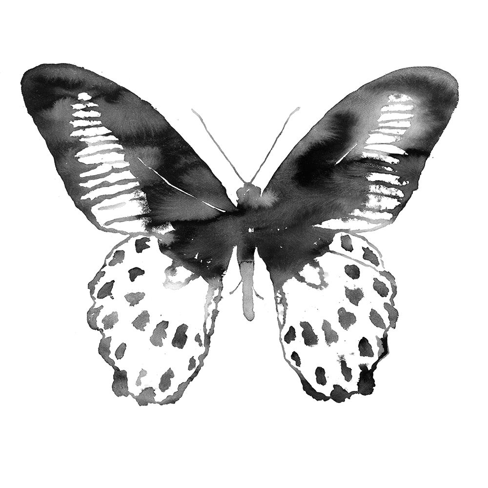 BLACK BUTTERFLY art print by Atelier B Art Studio for $57.95 CAD