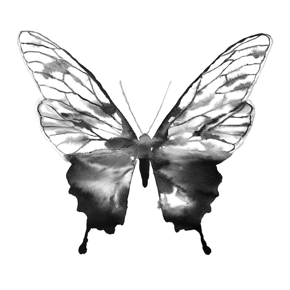 BLACK BUTTERFLY SKETCH art print by Atelier B Art Studio for $57.95 CAD