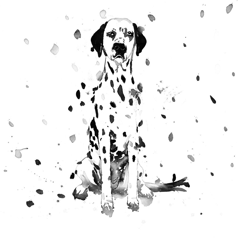 DALMATIAN DOG art print by Atelier B Art Studio for $57.95 CAD