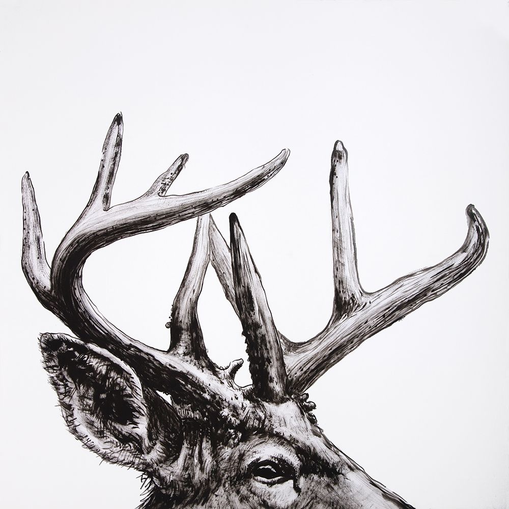 ROE DEER PLUME art print by Atelier B Art Studio for $57.95 CAD