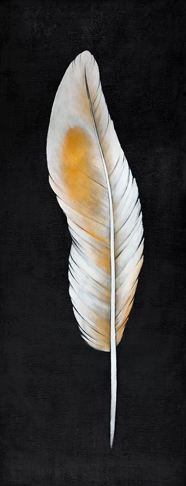 FEATHER art print by Atelier B Art Studio for $57.95 CAD