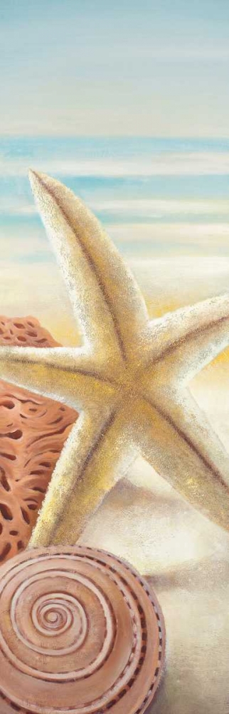 Starfish and Seashells at the Beach art print by Atelier B Art Studio for $57.95 CAD