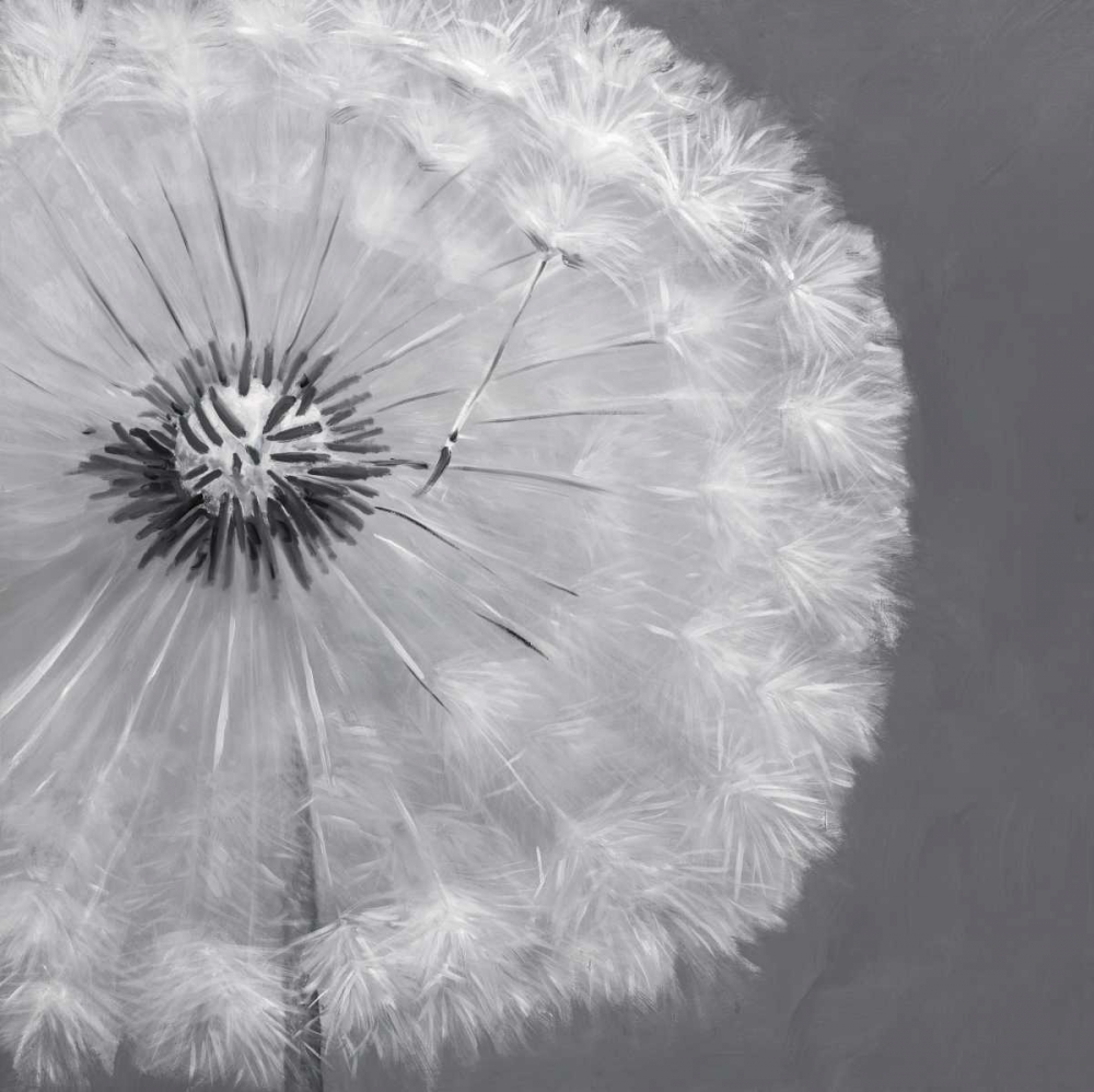 Dandelion Puff Ball art print by Atelier B Art Studio for $57.95 CAD