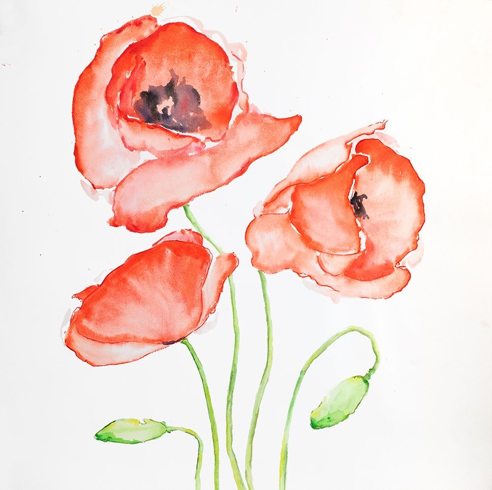 WATERCOLOR POPPIES art print by Atelier B Art Studio for $57.95 CAD