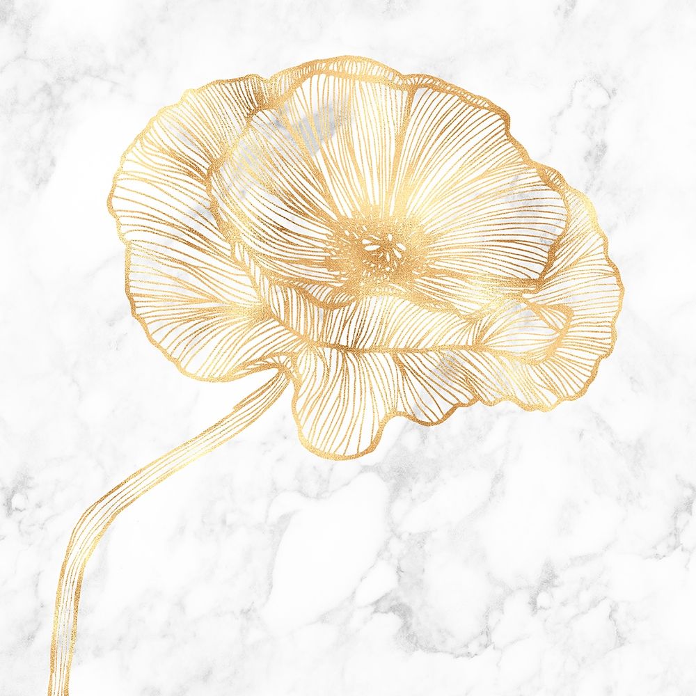 GOLDEN POPPY FLOWER art print by Atelier B Art Studio for $57.95 CAD