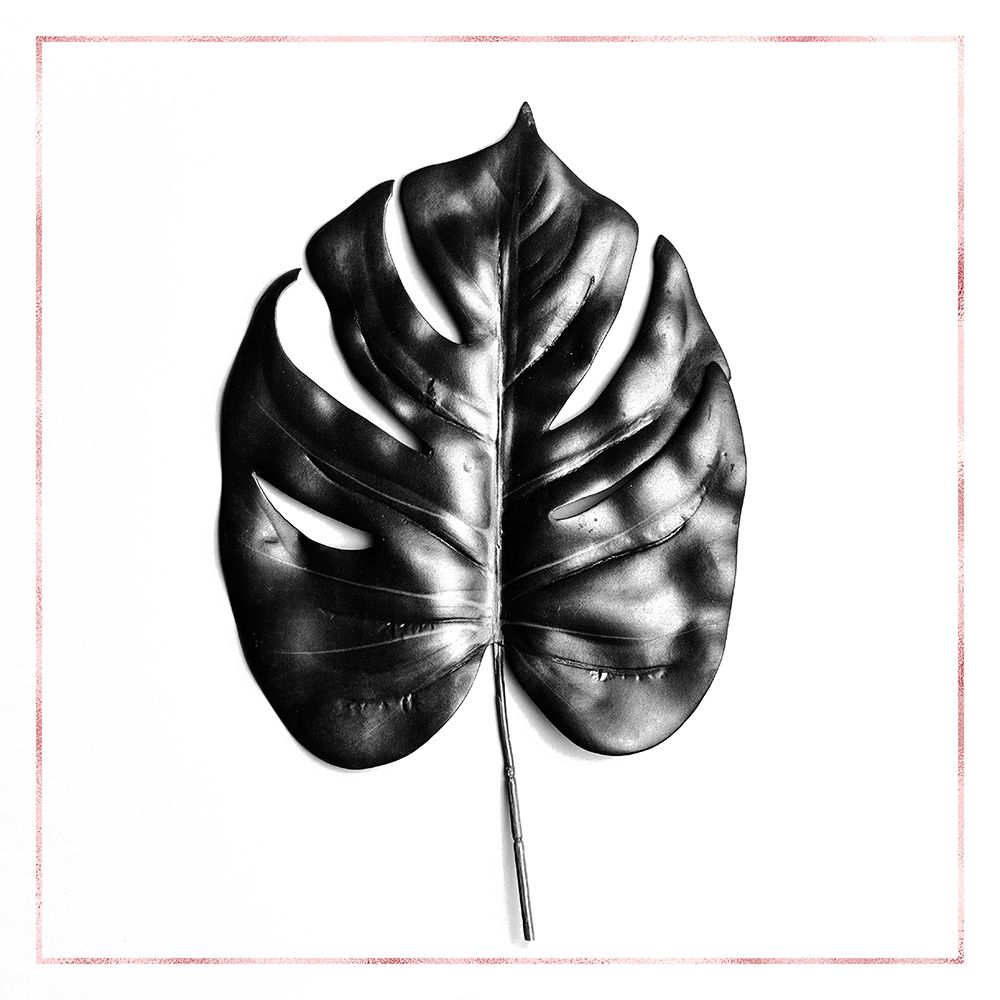 SPLIT LEAF PHILODENDRON WITH ROSE LINE art print by Atelier B Art Studio for $57.95 CAD