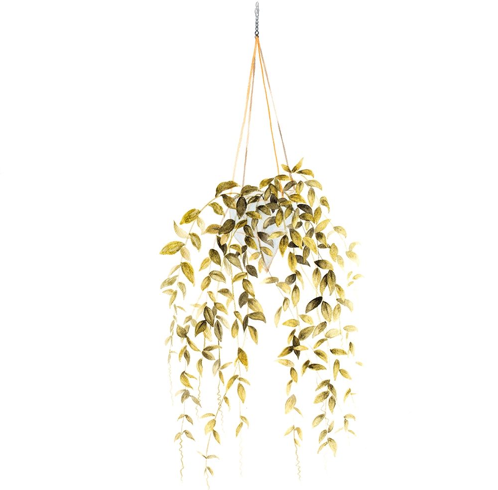 HANGING PLANT art print by Atelier B Art Studio for $57.95 CAD