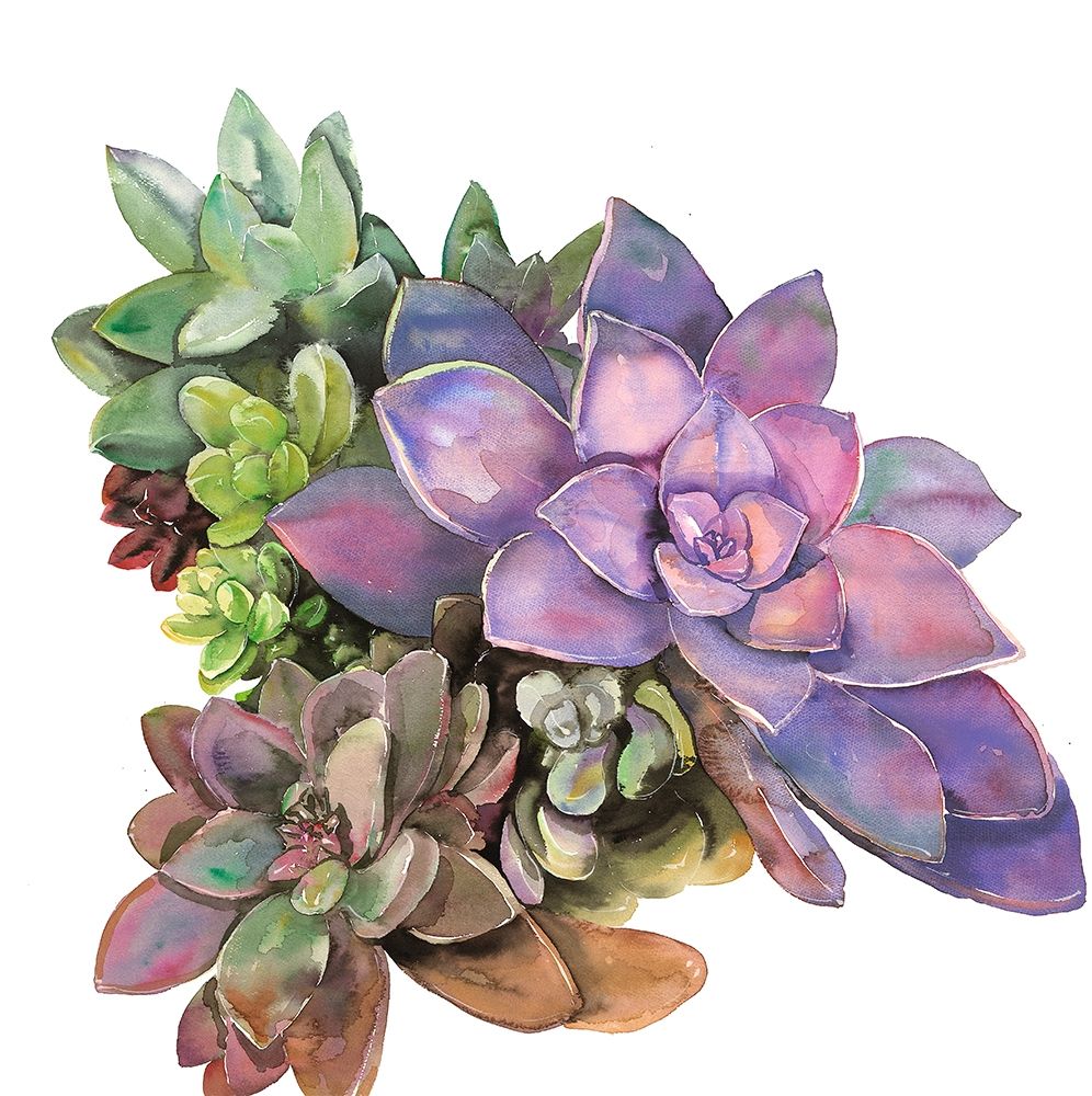 SUCCULENT PLANT art print by Atelier B Art Studio for $57.95 CAD