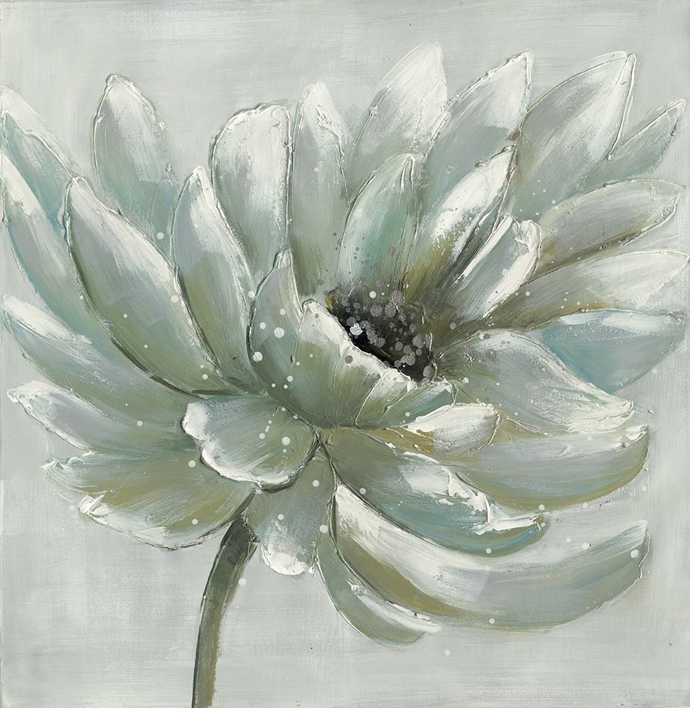 White chrysanthemum art print by Atelier B Art Studio for $57.95 CAD
