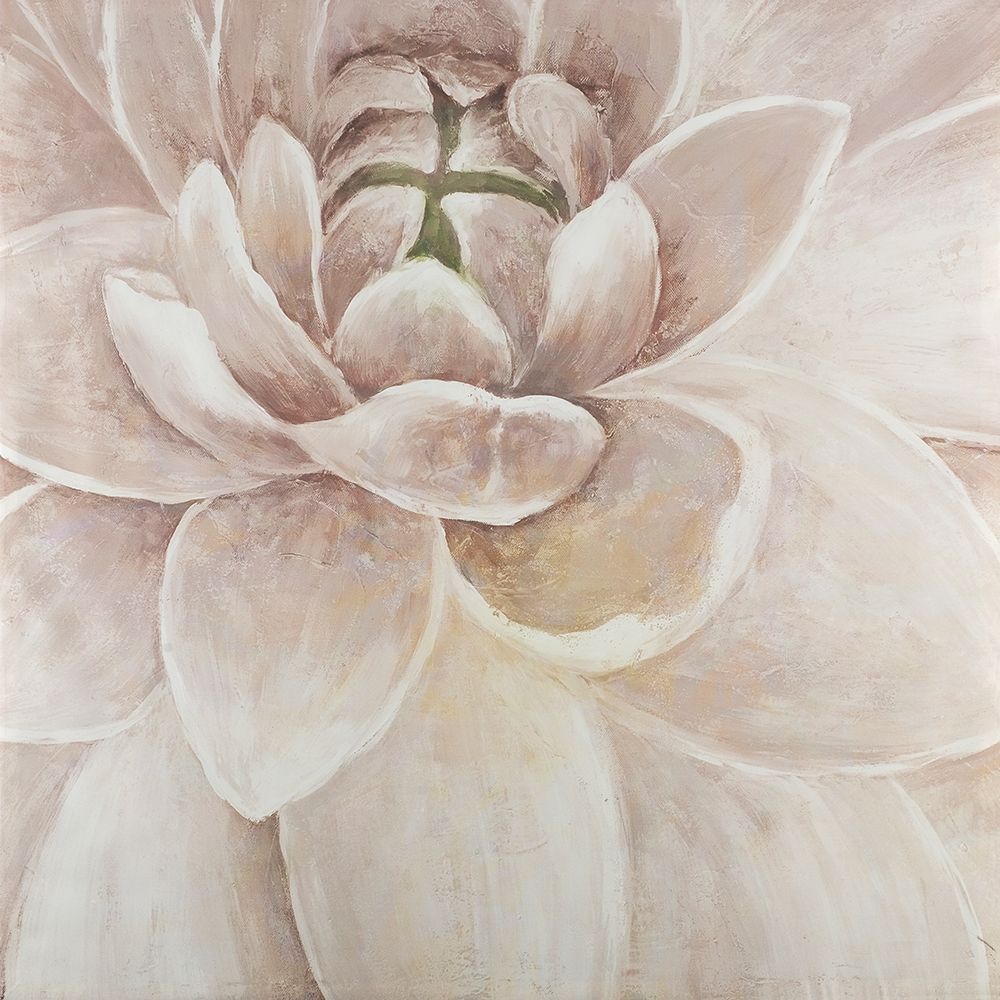 Delicate Chrysanthemum art print by Atelier B Art Studio for $57.95 CAD