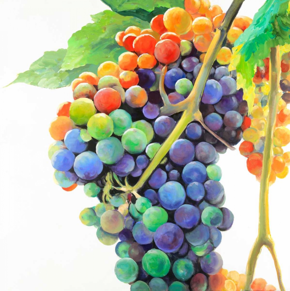 Colorful Bunch of Grapes art print by Atelier B Art Studio for $57.95 CAD