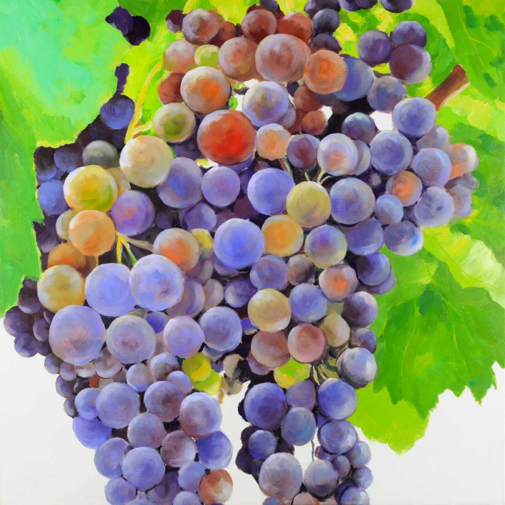 Bunch of Grapes art print by Atelier B Art Studio for $57.95 CAD