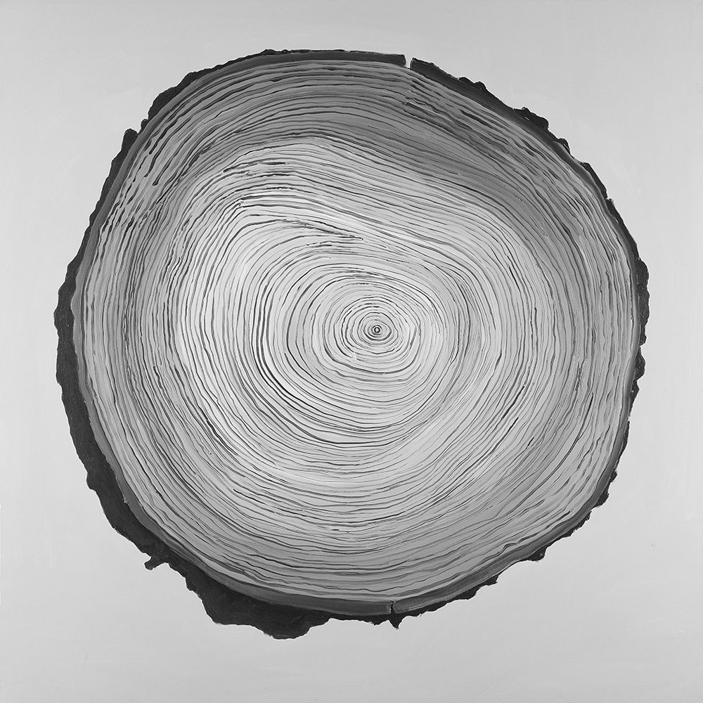 Grayscale Round Shaped Tree Slab art print by Atelier B Art Studio for $57.95 CAD