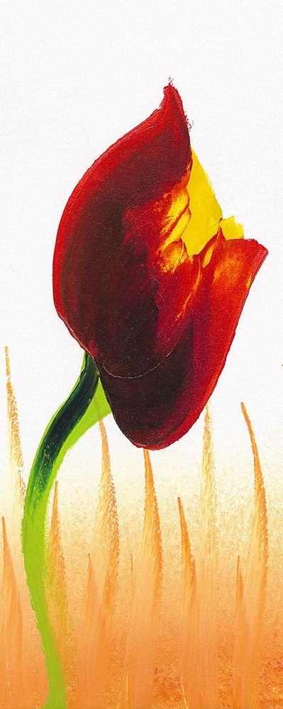Red Yellow Tulip flower art print by Archivio for $57.95 CAD