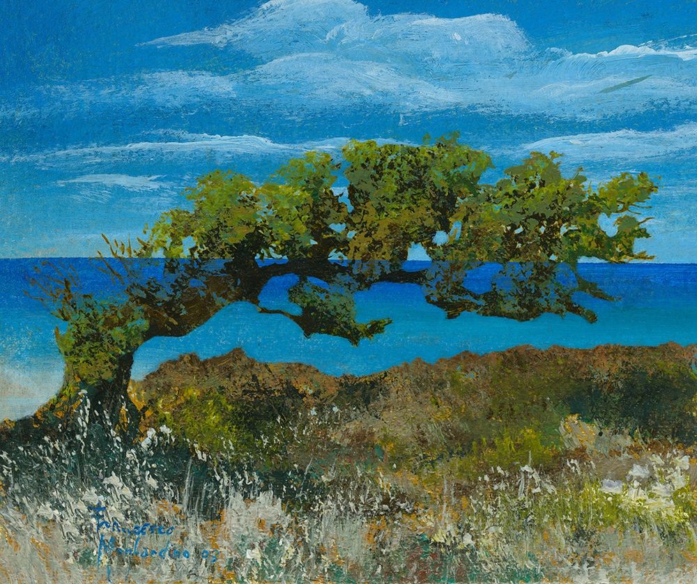 Bent Juniper Tree and Blue Sea art print by Anonymous for $57.95 CAD