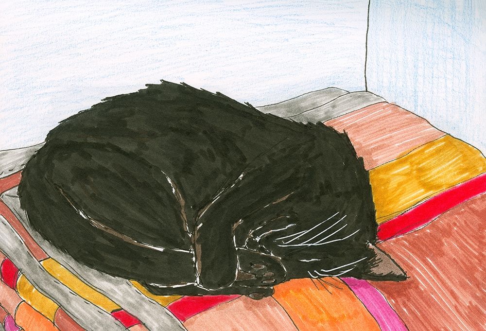 Sleeping Black Cat  art print by Alessia Meloni for $57.95 CAD