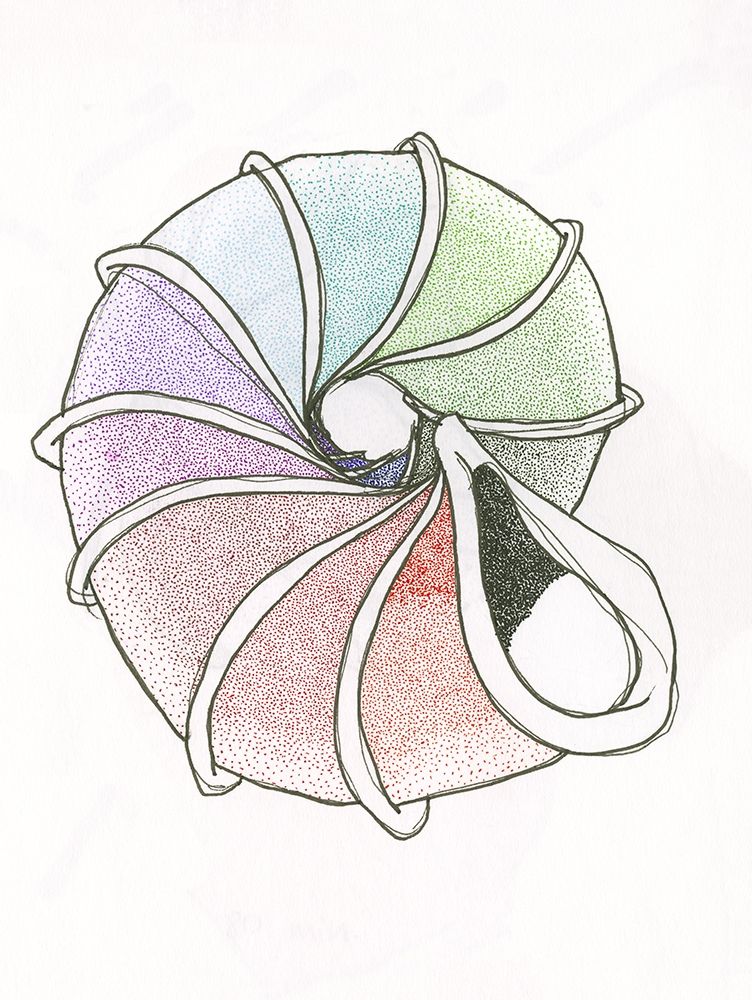 Multicoloured Sea Shell art print by Alessia Meloni for $57.95 CAD