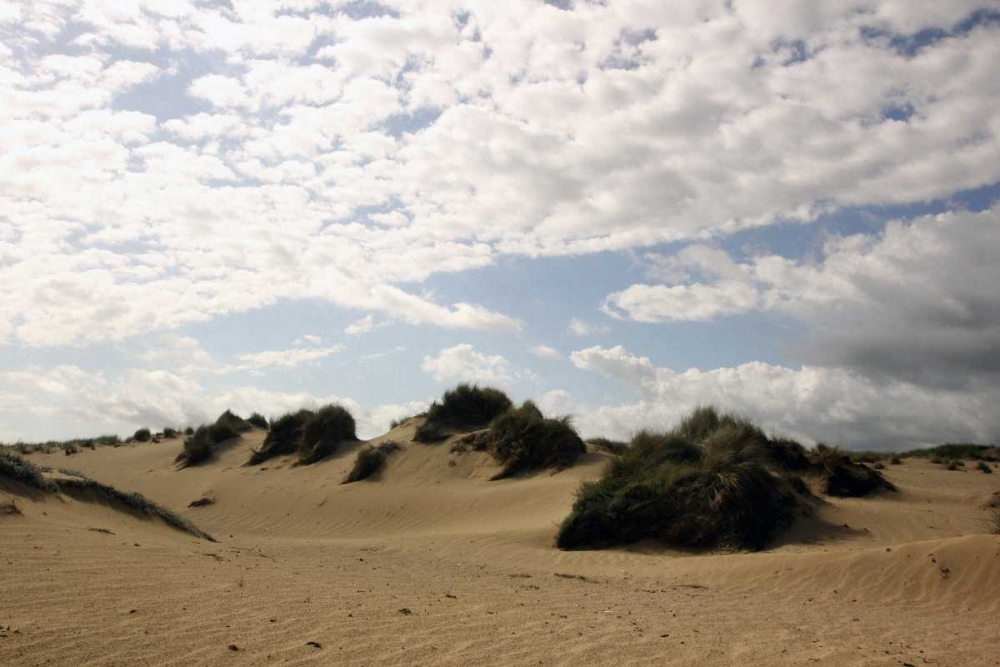 San dune with cloudy sky art print by Saiu Giovanni for $57.95 CAD
