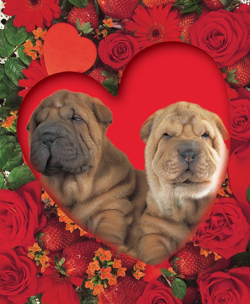 Puppies In Heart art print by Patrick Hoenderkamp for $57.95 CAD