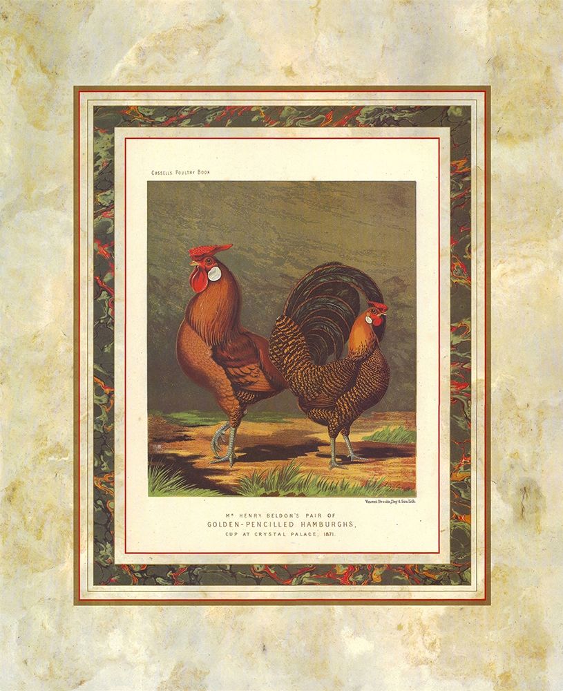 Golden Pencilled Hamburghs, Cassells Poultry Book art print by J.W. Ludlow for $57.95 CAD