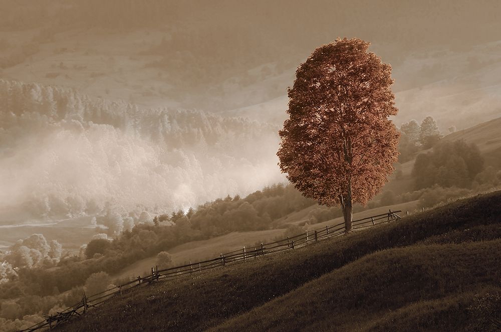 Lovely Mountain Tree art print by O. Kotenko for $57.95 CAD