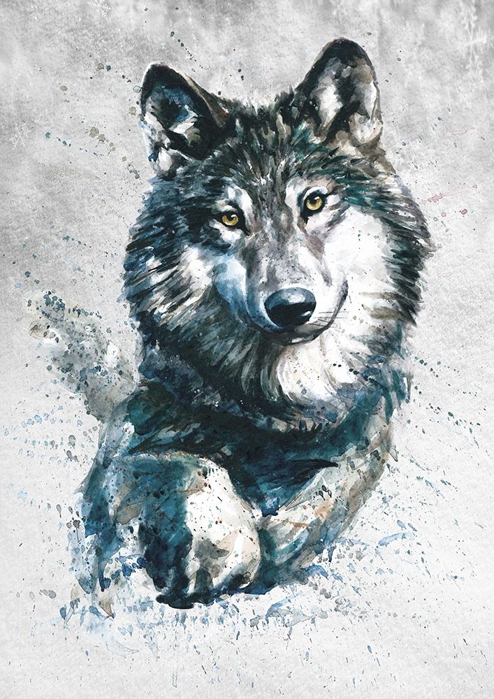 Wolf   art print by K. Kalinin for $57.95 CAD