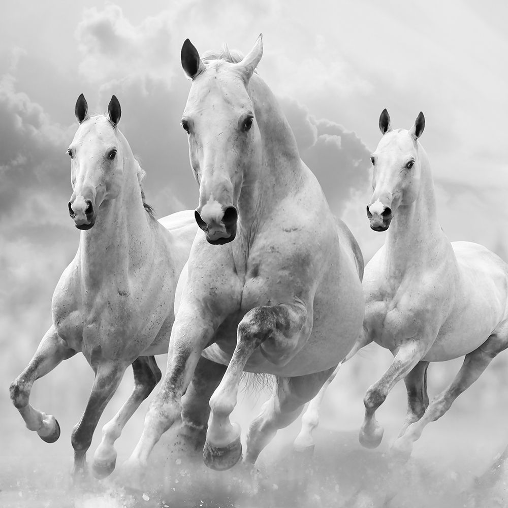 Three White Stallions art print by Maria Itina for $57.95 CAD