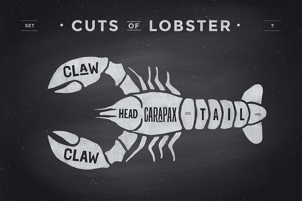 Cuts of Lobster  art print by Foxys Graphics for $57.95 CAD