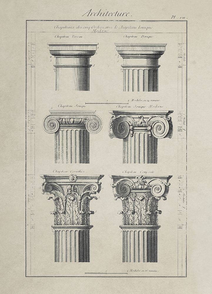 Greek Column Comparisons art print by Anonymous for $57.95 CAD