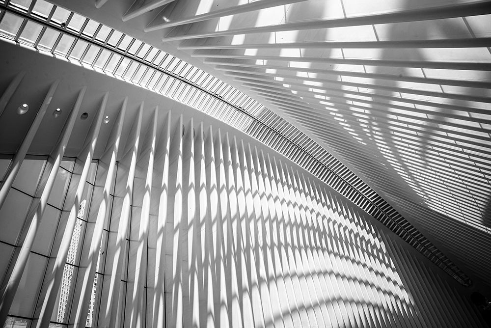 Oculus Ceiling II, World Trade Center, NYC art print by Stephane Graciet for $57.95 CAD