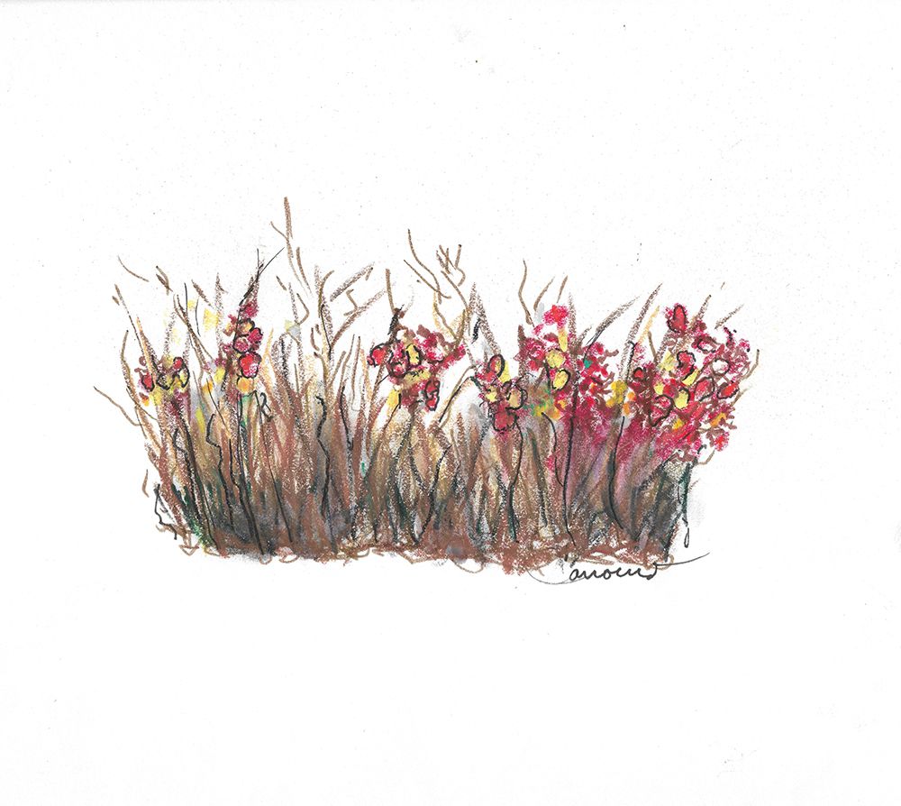 Flower Garden art print by Lisa Carroccio for $57.95 CAD