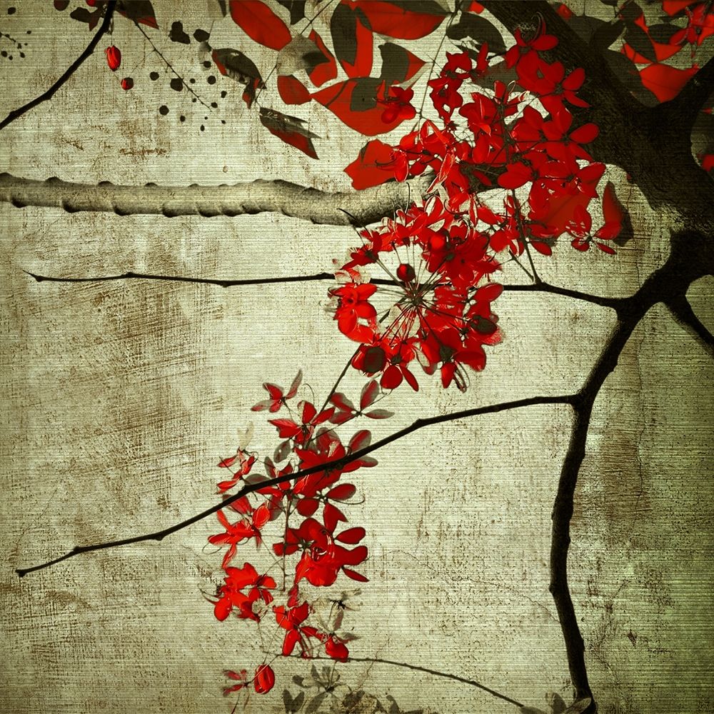 Red Kerala Blossoms art print by Anonymous for $57.95 CAD