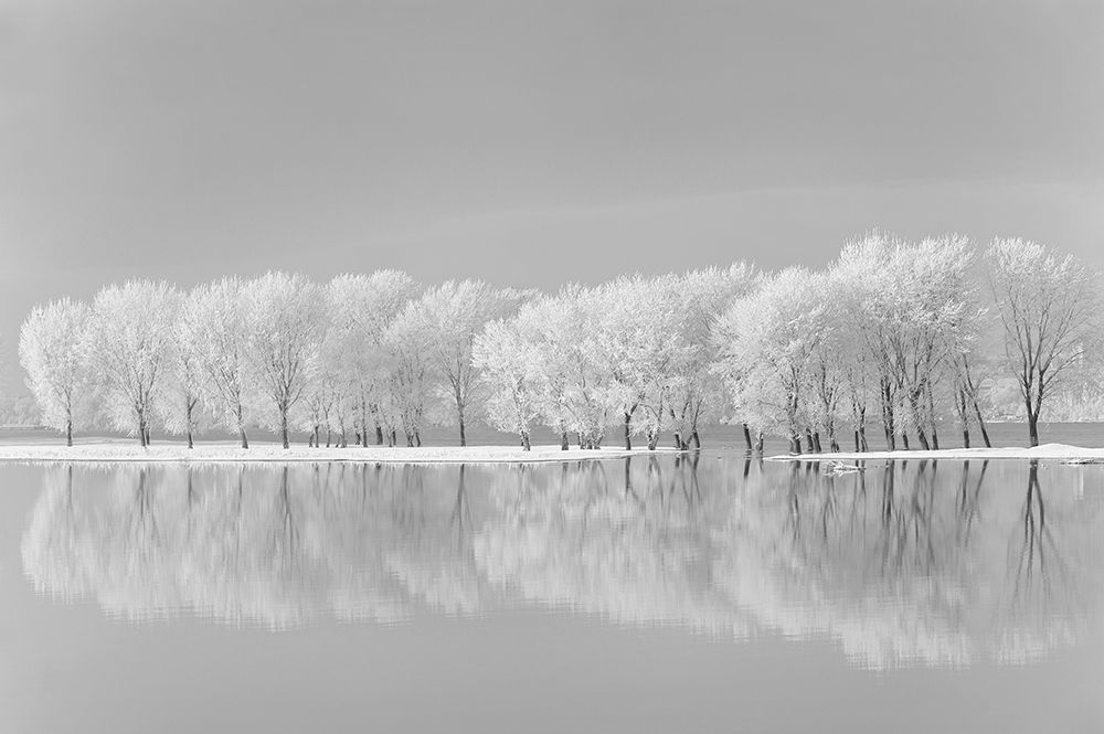 Snow Trees Along the Lake art print by Jordache for $57.95 CAD