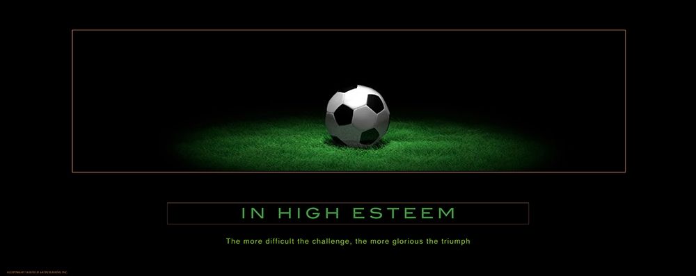 In High Esteem art print by Anonymous for $57.95 CAD
