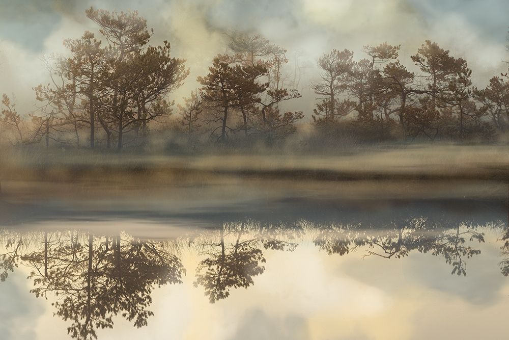 Foggy Morning River art print by Barna Bereczki for $57.95 CAD
