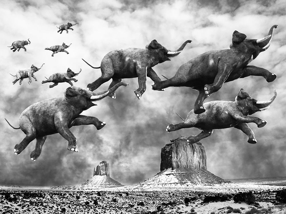 Flying Elephants art print by Anonymous for $57.95 CAD
