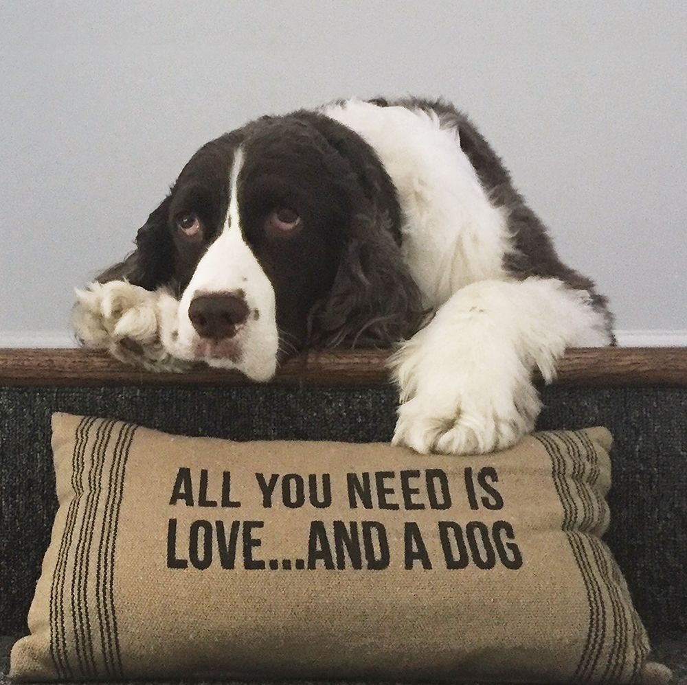 All You Need Is Love ... And A Dog art print by K Lowenkron for $57.95 CAD