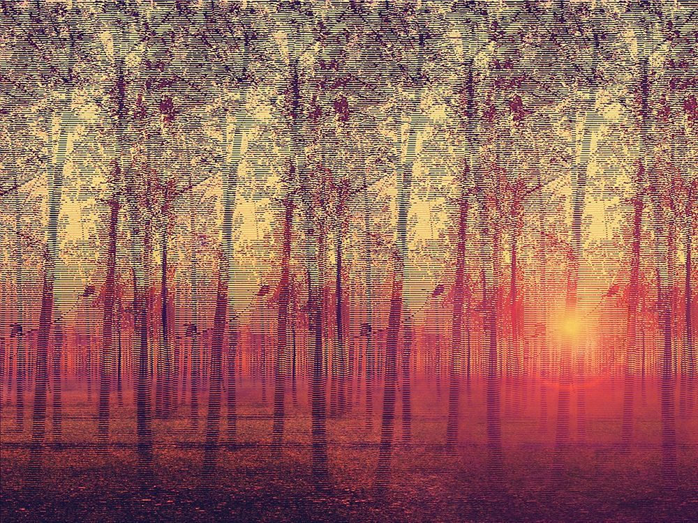 Poplar Trees in the Setting Sun art print by Anonymous for $57.95 CAD