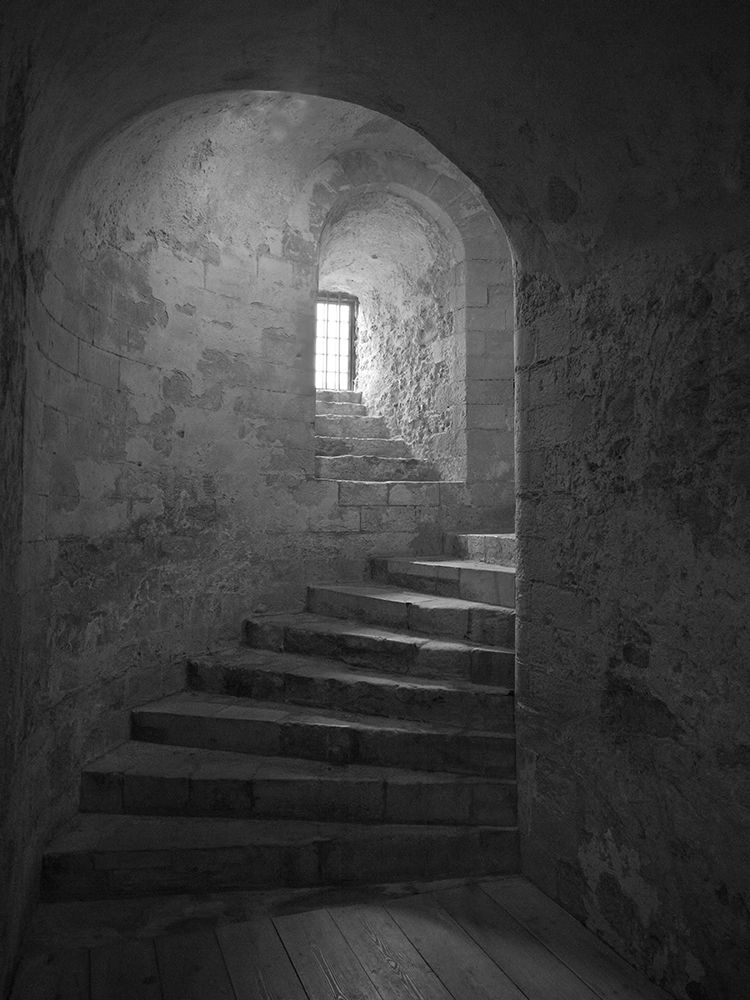 Castle Steps art print by Anonymous for $57.95 CAD