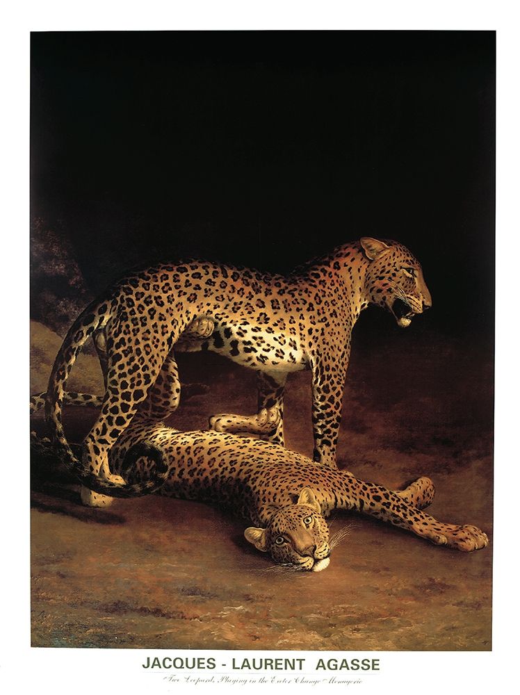 Twp Leopards art print by Jacques-Laurent Agasse for $57.95 CAD