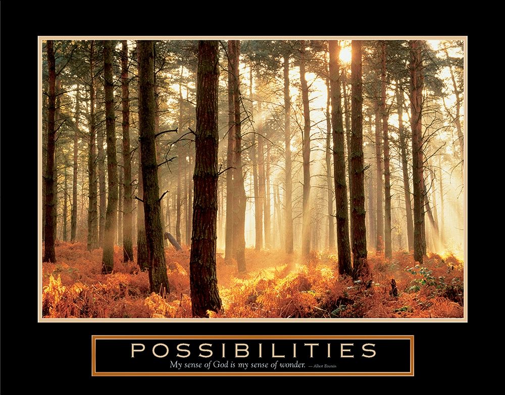 Possibilities - Sunlight Streams art print by Frontline for $57.95 CAD