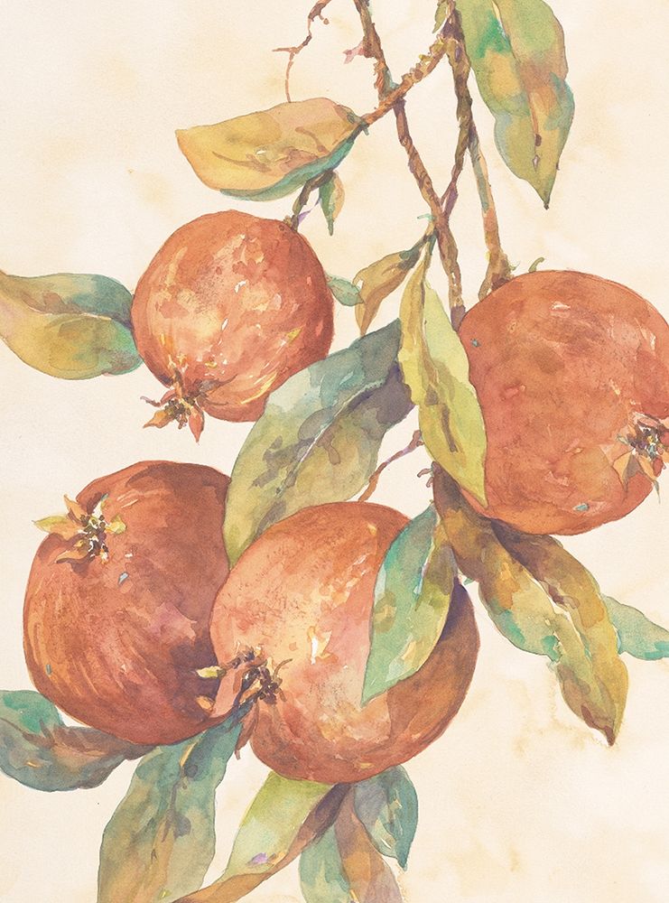 Hanging Fruit art print by Unknown for $57.95 CAD