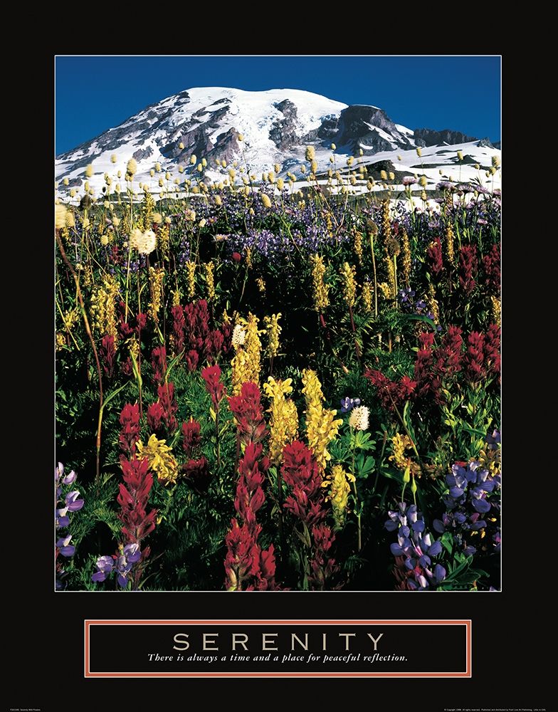 Mount Rainier art print by Frontline for $57.95 CAD