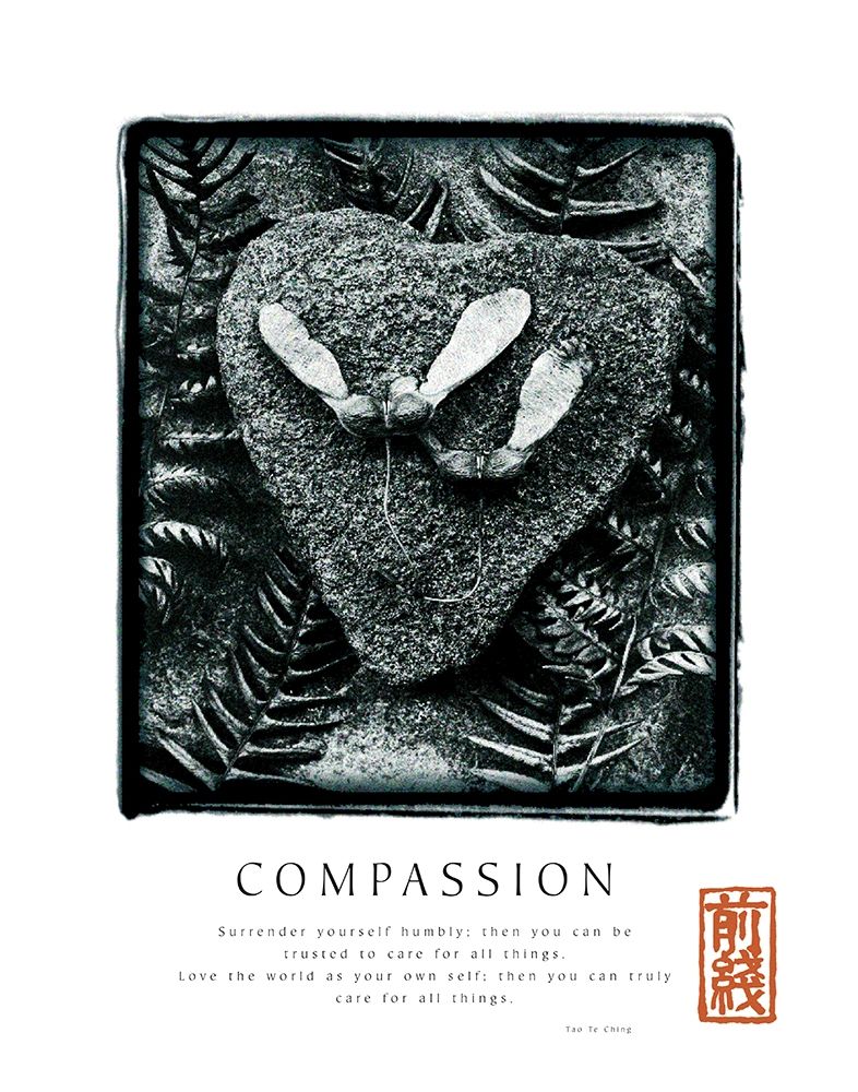 Compassion - Ferns art print by Unknown for $57.95 CAD